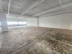 Perfect One (D13), Warehouse #555022411